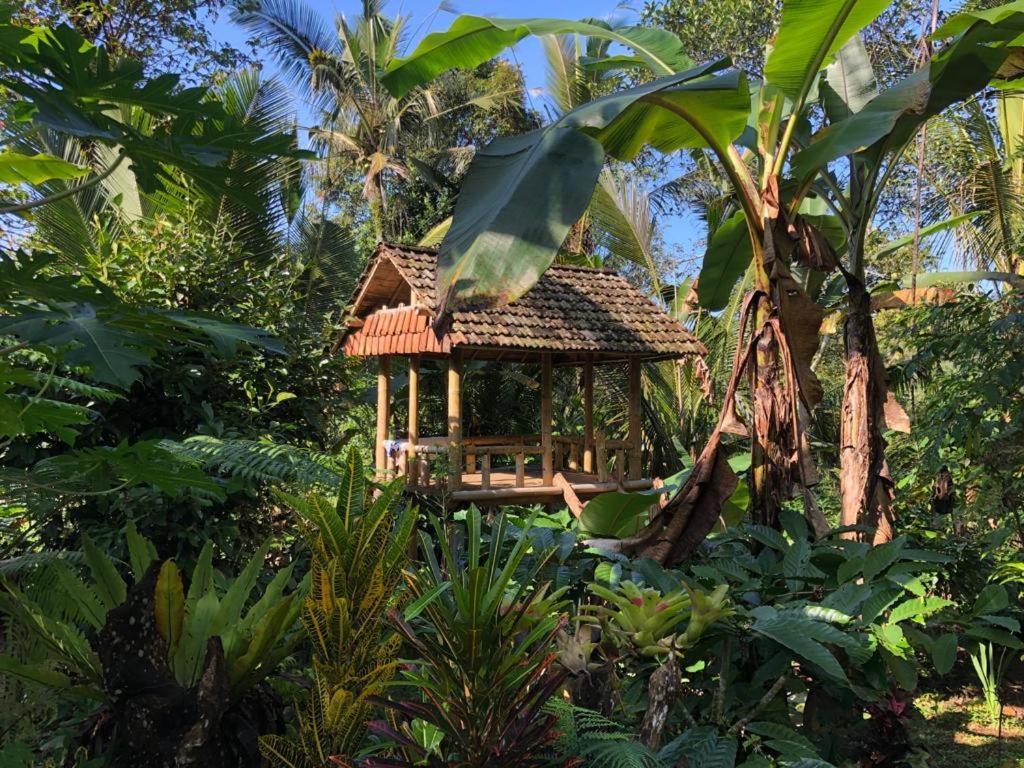 Bali mountain forest cabin Penebel Extérieur photo