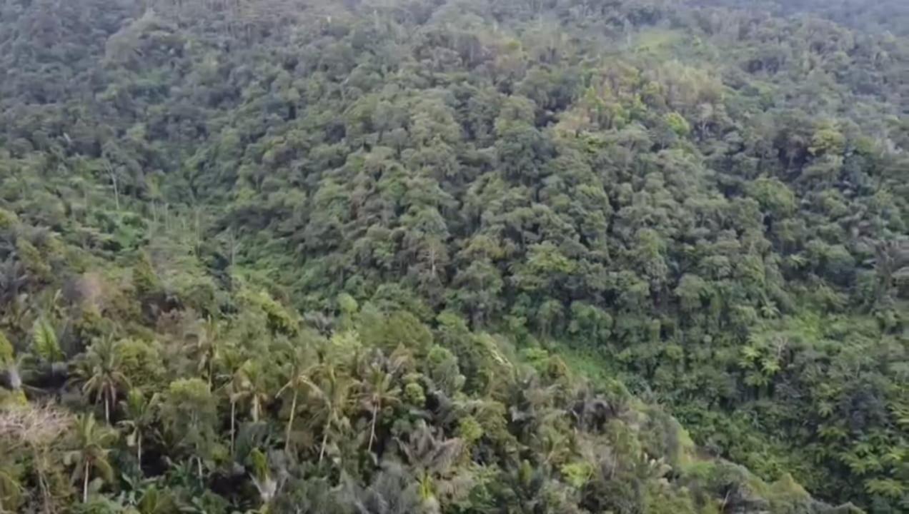 Bali mountain forest cabin Penebel Extérieur photo
