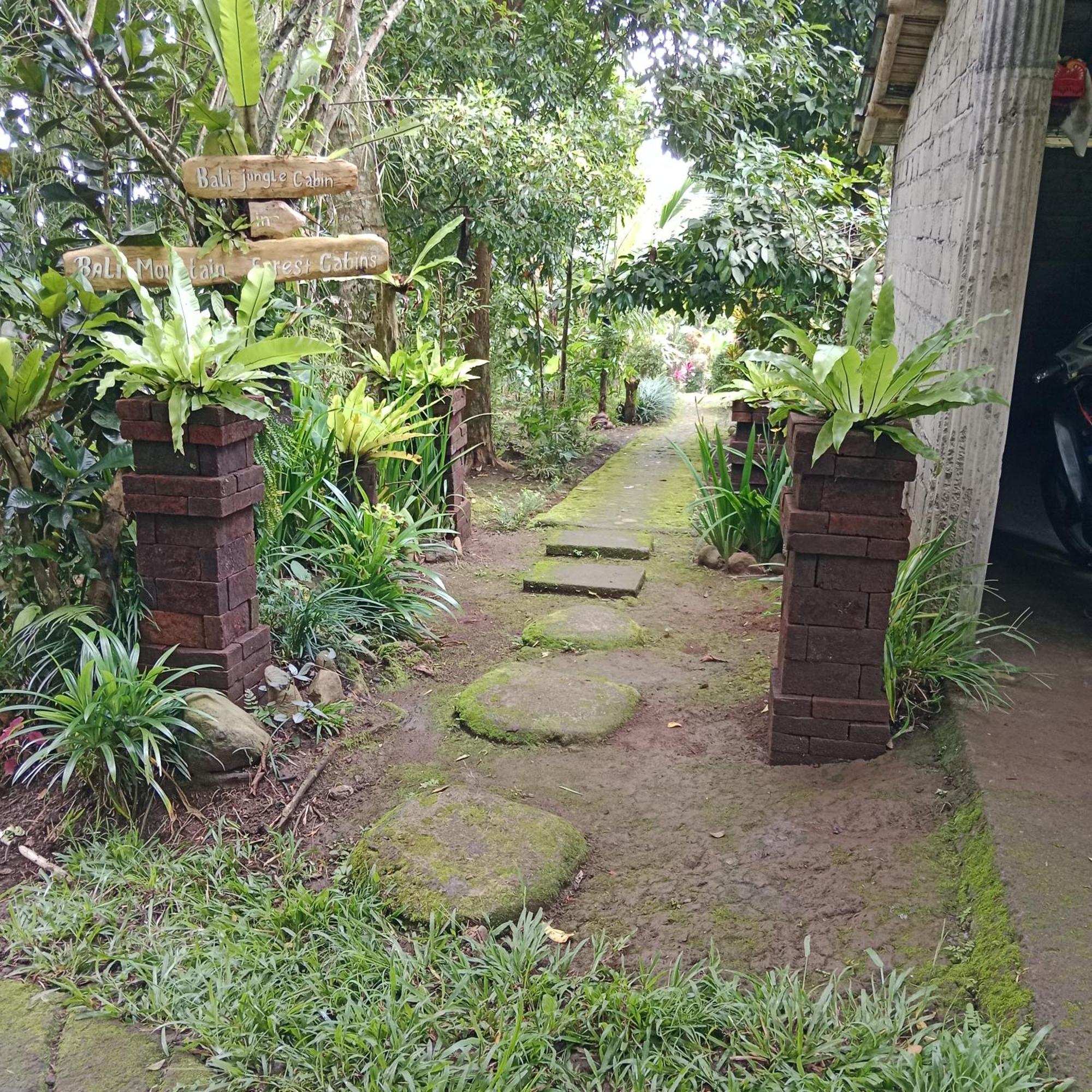 Bali mountain forest cabin Penebel Chambre photo