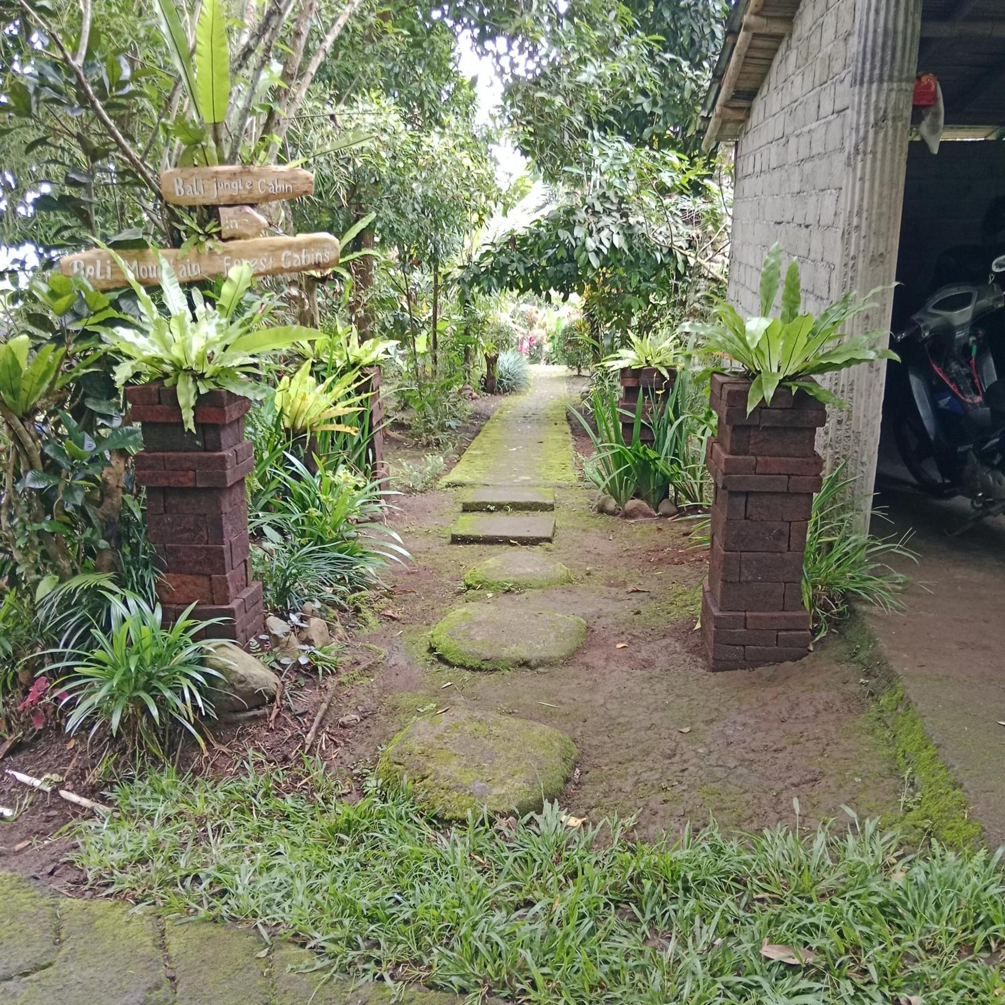Bali mountain forest cabin Penebel Extérieur photo