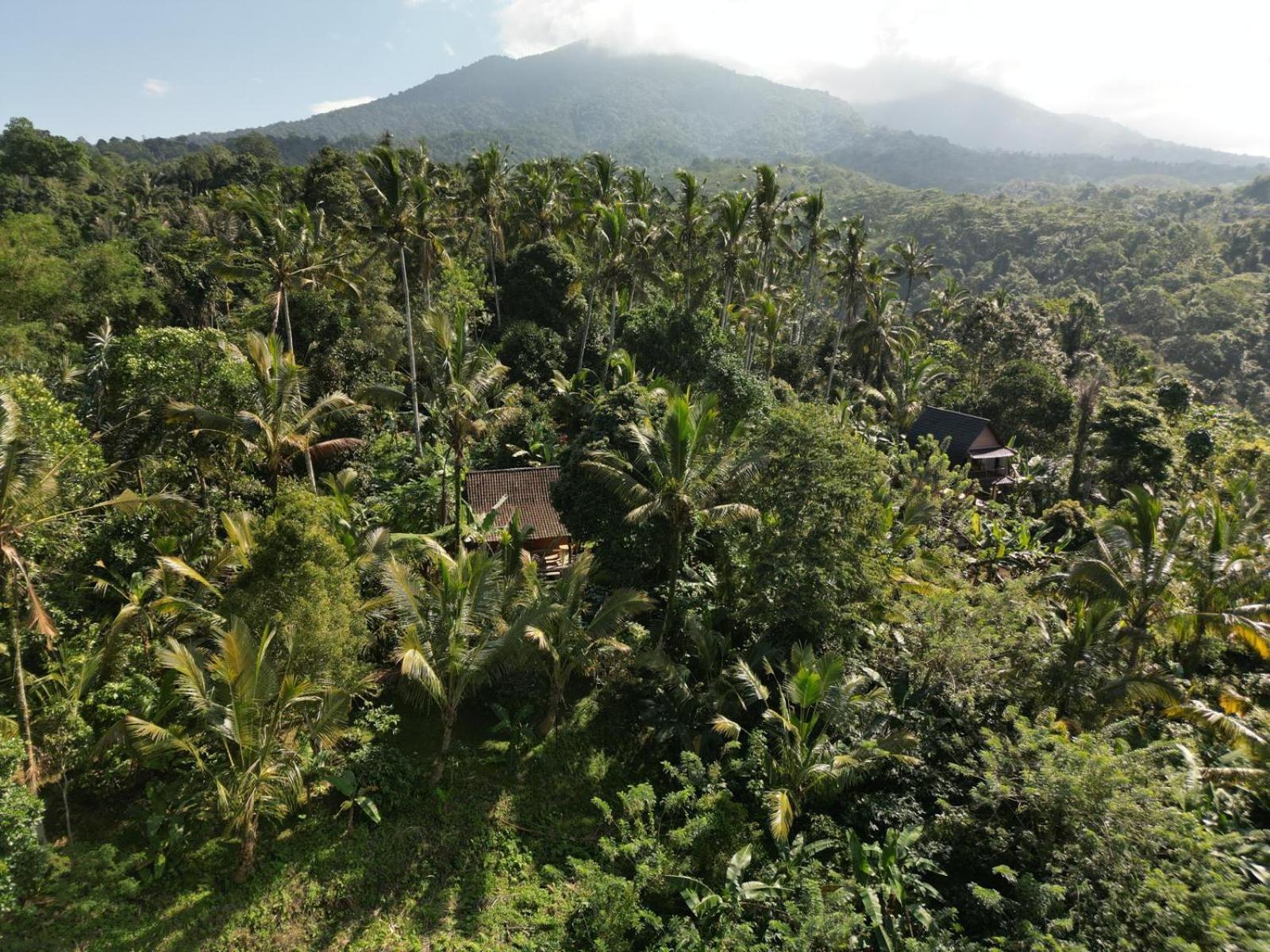 Bali mountain forest cabin Penebel Chambre photo