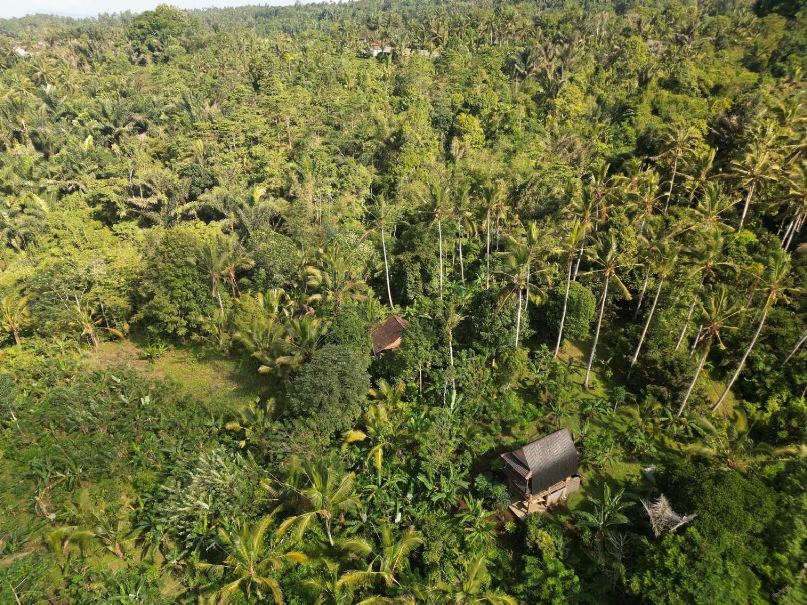 Bali mountain forest cabin Penebel Chambre photo