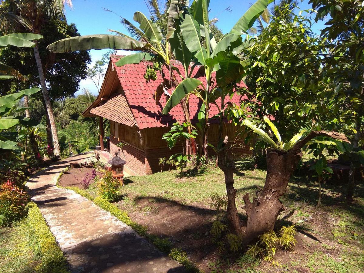 Bali mountain forest cabin Penebel Extérieur photo