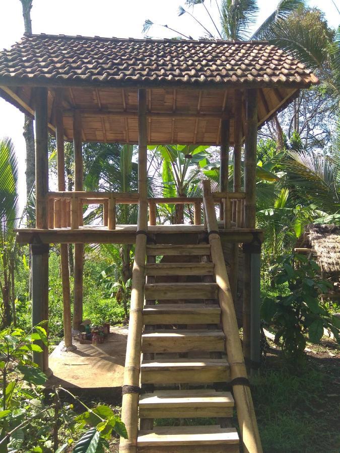 Bali mountain forest cabin Penebel Chambre photo